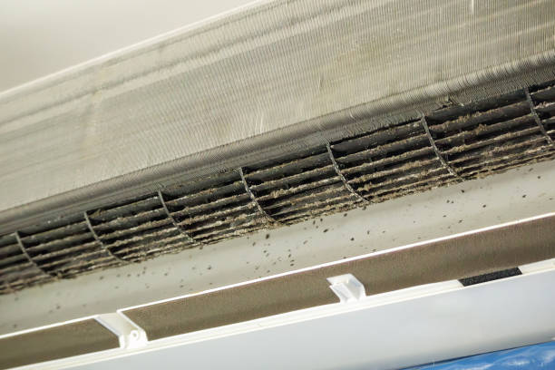 Best Home Air Vent Cleaning  in Lyndon, KY